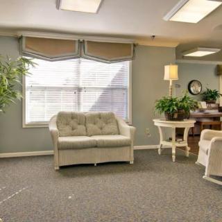 A cozy living room with a sofa, indoor plants, and ample natural light.
