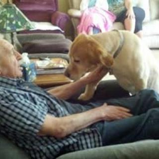 A dog and an elderly man share a tender moment in the living room.