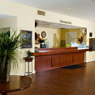 A spacious and welcoming reception area with an information desk, decorated with plants.