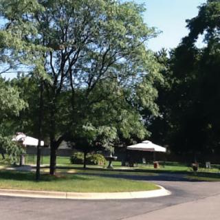 A serene park setting with lush trees and shaded areas ideal for relaxation.