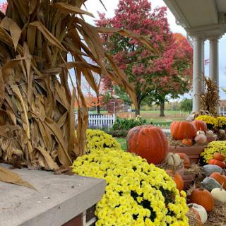 A beautiful autumn display featuring pumpkins and vibrant yellow mums, surrounded by the colorful foliage of a nearby tree.
