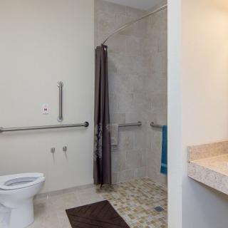 An accessible bathroom with a toilet, shower area, and grab bars.