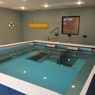 An indoor therapy pool equipped with exercise apparatuses for rehabilitation and hydrotherapy sessions.