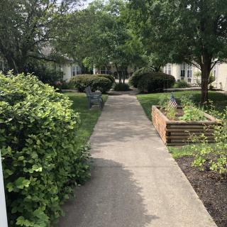 A peaceful garden pathway surrounded by lush greenery and trees.