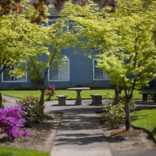 A serene garden setting with a stone pathway, surrounded by lush trees and vibrant flowers.