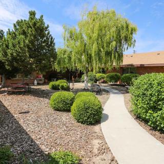 A well-maintained garden with a winding pathway, surrounded by various trees and shrubs.