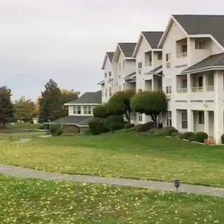A row of suburban residential buildings with well-maintained lawns and trees on an overcast day.