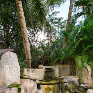 A serene tropical garden with palm trees and a stone structure.