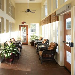 A sunlit waiting room with comfortable chairs and decorative plants.