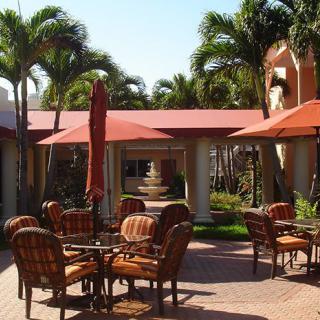 A sunny patio with outdoor seating and palm trees.
