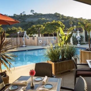 A serene outdoor space featuring a refreshing pool surrounded by lush greenery and comfortable seating, perfect for relaxation.