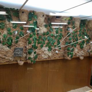 A beautifully designed interior wall featuring decorative plants and wooden paneling.