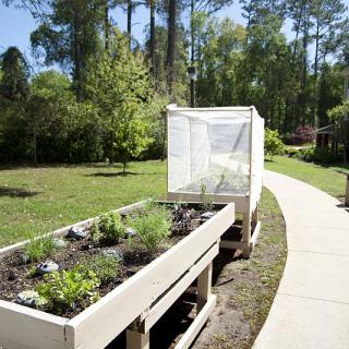A raised garden bed along a pathway on a sunny day, surrounded by lush greenery.