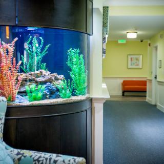 A brightly lit hallway featuring a large, vibrant aquarium and cozy seating.