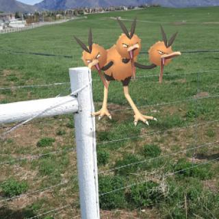 A whimsical three-headed bird perched on a fence post in a grassy field.