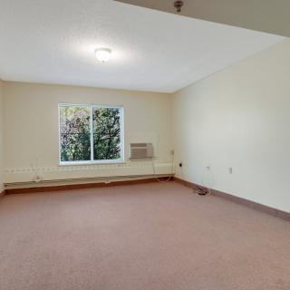 An empty room with carpet flooring and a window overlooking greenery.