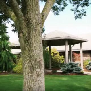 A picturesque garden with a large tree and a house in the background.