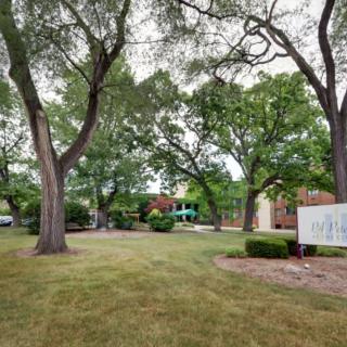 A serene outdoor area with lush green trees and a building in the background.