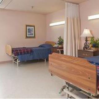 A hospital room with two empty beds separated by a curtain, featuring a lamp and potted plants for decor.
