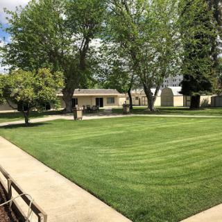 A well-maintained lawn surrounded by trees and buildings under a clear sky.