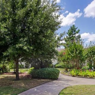 A peaceful park scene with a winding pathway surrounded by lush greenery and trees under a clear blue sky.