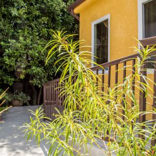 A vibrant yellow house with a window, surrounded by lush greenery and bright sunlight.