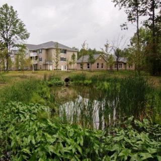 A serene view of modern buildings surrounded by lush greenery and a small pond.