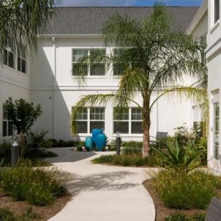 A landscaped courtyard with a pathway and palm trees, surrounded by a residential building.
