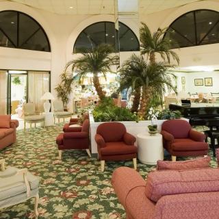 A luxurious lounge with elegant furniture and lush indoor plants.