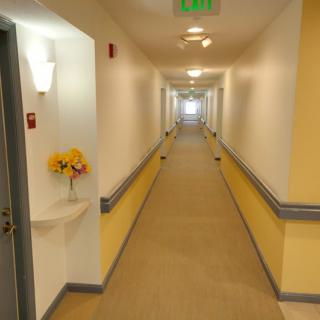 A long, well-lit hallway with carpeted flooring and simple wall decorations.