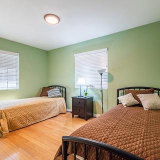 A cozy bedroom with two twin beds, green walls, and wooden flooring.