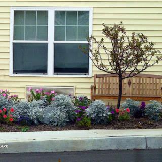 A peaceful garden scene featuring colorful flowers, a small tree, and a wooden bench beside a window.