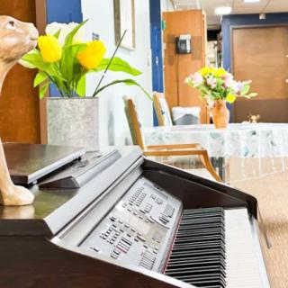 A cozy room with a piano adorned by a cat figurine and vibrant flower arrangements.