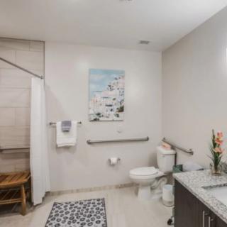 A modern bathroom featuring a shower area, toilet, and vanity with contemporary decor.