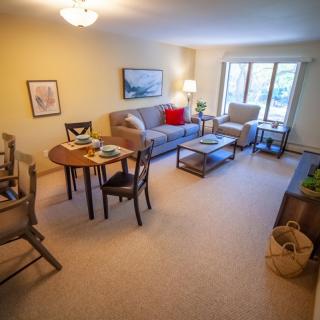 A cozy living room with a sofa, dining table with chairs, and natural light coming through the window.