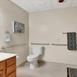 A modern, accessible bathroom featuring a toilet with handrails and a sink.