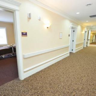 A carpeted hallway with doors on either side and overhead lights.