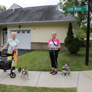 Two elderly women enjoying a walk with their dogs in a quiet neighborhood.