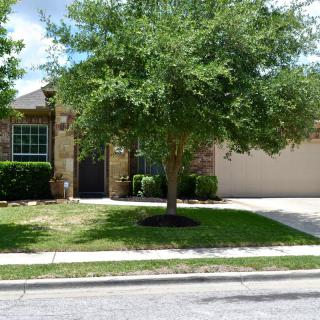 A suburban house with a tree in the front yard and a driveway.