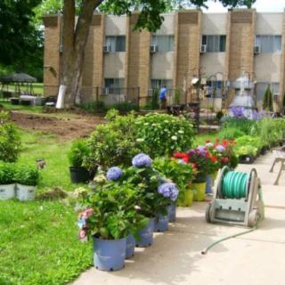 Pleasant View Nursing Home