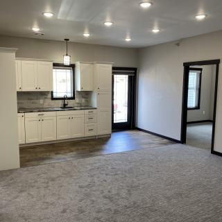 Modern open-concept living room and kitchen with carpeted floors.