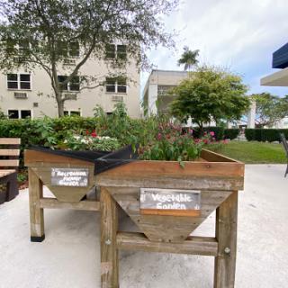 A view of raised garden planters filled with lush greenery in a community outdoor space.