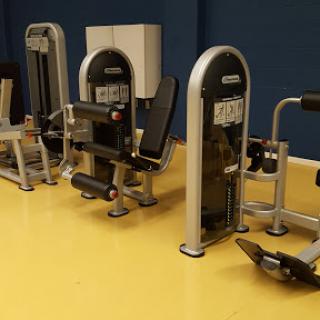 A variety of exercise machines lined up in a gym.