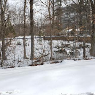 A serene winter landscape blanketed in snow, surrounded by bare trees.