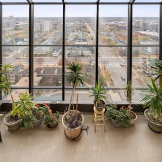 A serene indoor garden with a variety of potted plants, offering a panoramic view of the urban landscape through large glass windows.