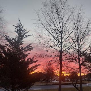 A beautiful sunset framed by trees, casting warm colors across the sky.
