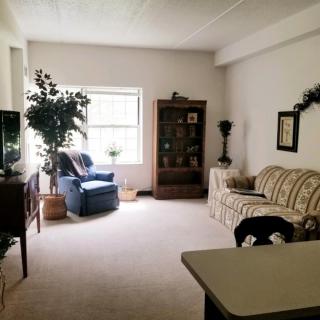 A cozy living room with a sofa, armchair, bookshelf, and window letting in natural light.