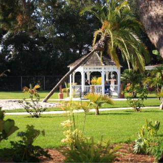 A picturesque garden featuring a white gazebo surrounded by lush greenery and a leaning palm tree.