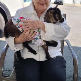 A smiling woman holding a goat in her lap while sitting outdoors.