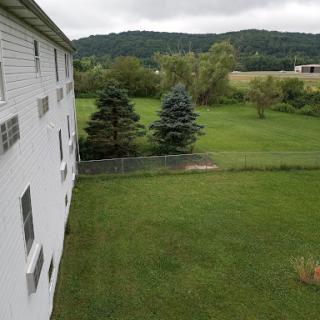 A serene outdoor view featuring lush green grass, trees, and mountains in the background under an overcast sky.